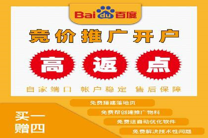 百度竞价公司成功案例：如何实现ROI最大化